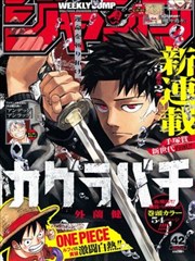 拾荒者手册漫画封面